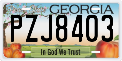 GA license plate PZJ8403