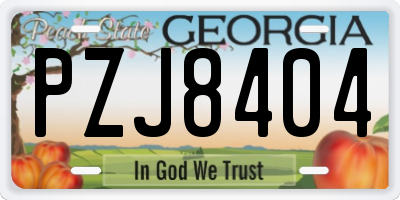 GA license plate PZJ8404
