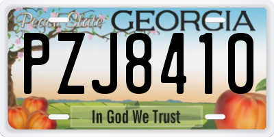 GA license plate PZJ8410
