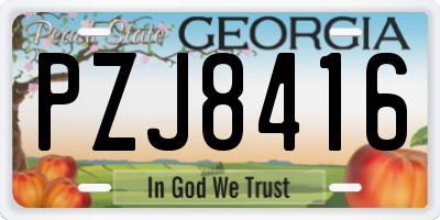 GA license plate PZJ8416