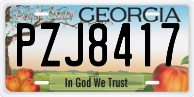 GA license plate PZJ8417