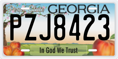 GA license plate PZJ8423