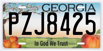 GA license plate PZJ8425