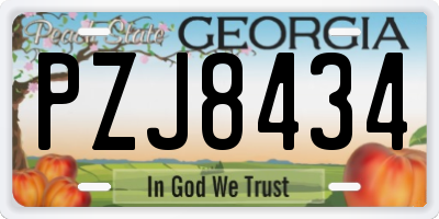 GA license plate PZJ8434