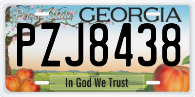 GA license plate PZJ8438
