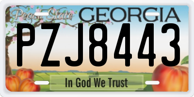 GA license plate PZJ8443