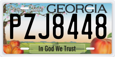 GA license plate PZJ8448