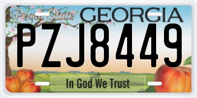 GA license plate PZJ8449