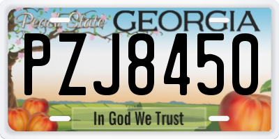 GA license plate PZJ8450