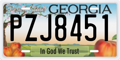 GA license plate PZJ8451