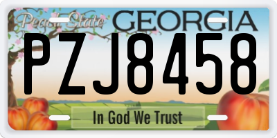 GA license plate PZJ8458