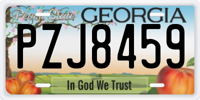 GA license plate PZJ8459