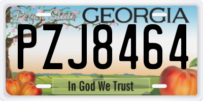 GA license plate PZJ8464