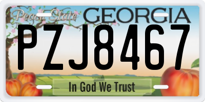 GA license plate PZJ8467