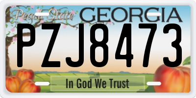 GA license plate PZJ8473