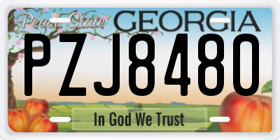 GA license plate PZJ8480