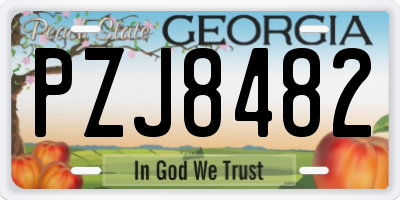 GA license plate PZJ8482