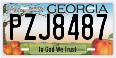 GA license plate PZJ8487