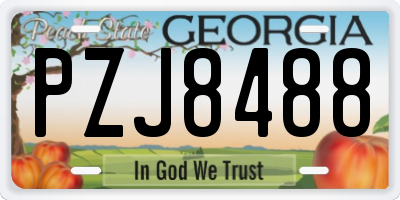 GA license plate PZJ8488