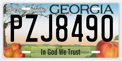 GA license plate PZJ8490