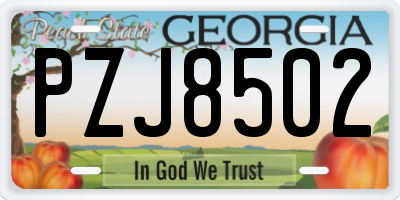 GA license plate PZJ8502