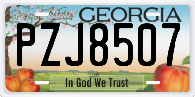 GA license plate PZJ8507