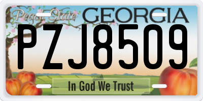 GA license plate PZJ8509