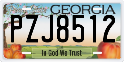 GA license plate PZJ8512