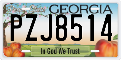 GA license plate PZJ8514
