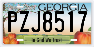 GA license plate PZJ8517
