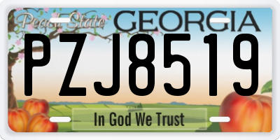 GA license plate PZJ8519