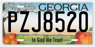 GA license plate PZJ8520