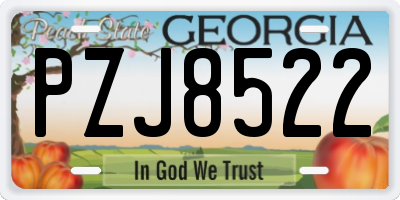 GA license plate PZJ8522