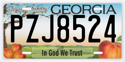 GA license plate PZJ8524