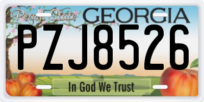 GA license plate PZJ8526