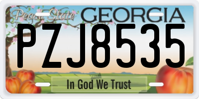 GA license plate PZJ8535