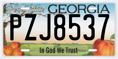 GA license plate PZJ8537