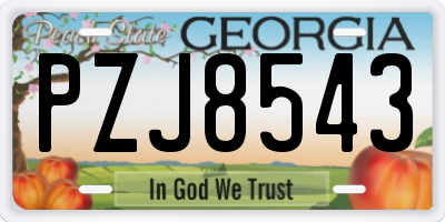 GA license plate PZJ8543
