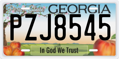 GA license plate PZJ8545