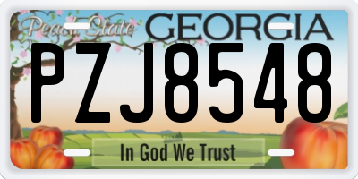 GA license plate PZJ8548