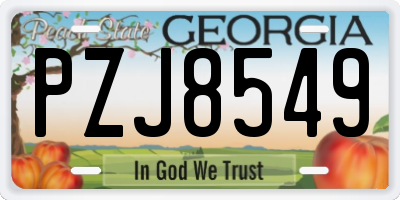 GA license plate PZJ8549