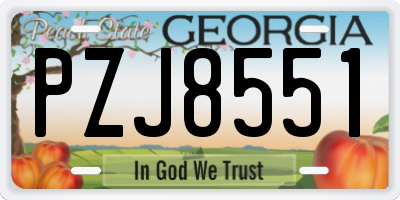 GA license plate PZJ8551