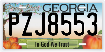 GA license plate PZJ8553