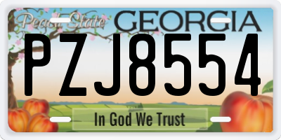 GA license plate PZJ8554