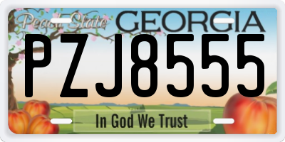 GA license plate PZJ8555