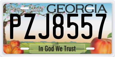 GA license plate PZJ8557
