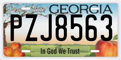 GA license plate PZJ8563
