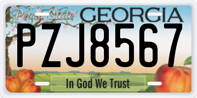 GA license plate PZJ8567