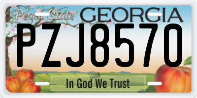 GA license plate PZJ8570