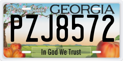 GA license plate PZJ8572